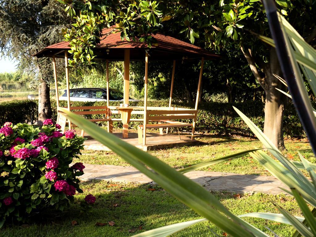 Voula Apartments Mytikas  Esterno foto